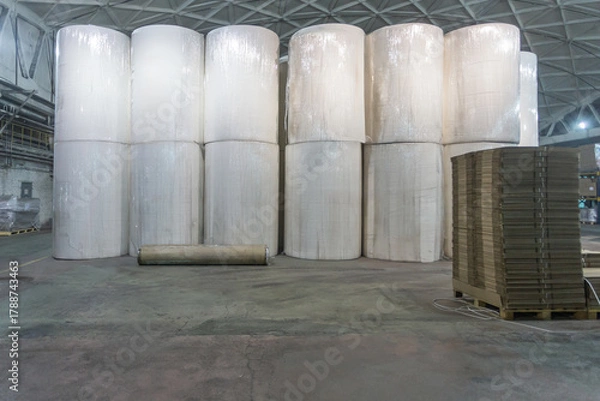 Fototapeta Jumbo rolls in a paper factory workshop.