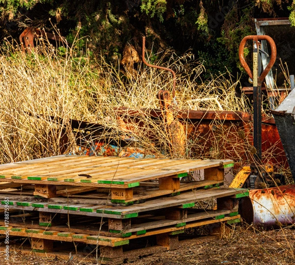 Obraz desertificação