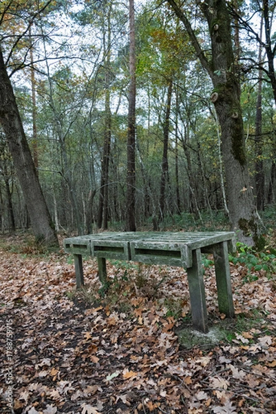 Fototapeta Rustic wooden structure rests among the fallen leaves in a tranquil forest setting.