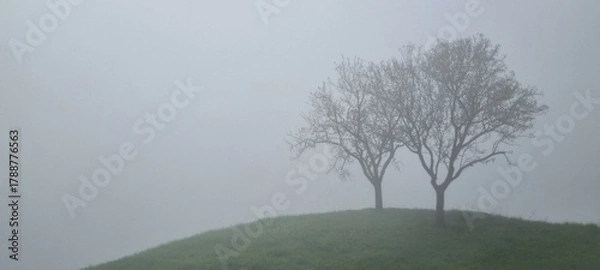 Fototapeta Foggy Landscape with Bare Trees on Hill