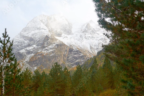 Obraz Autumn forest frames a view of snowy mountain peaks where golden foliage contrasts with white summits.