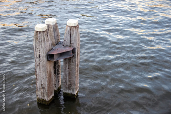 Fototapeta Weathered wooden pilings stand in calm water, reflecting sunlight, showcasing the beauty of nature and the tranquility of a serene waterfront environment