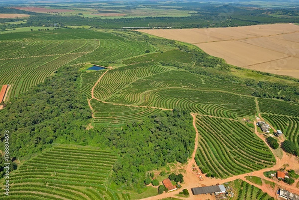 Obraz Vista aérea de plantações