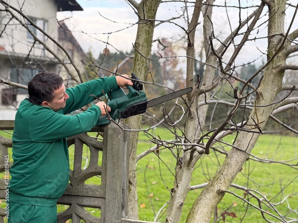 Fototapeta Man trimming tree branches with chainsaw
