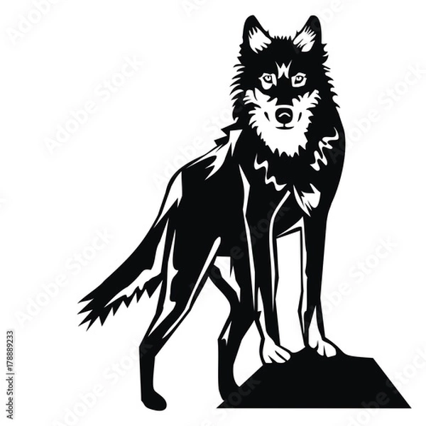 Obraz wolf