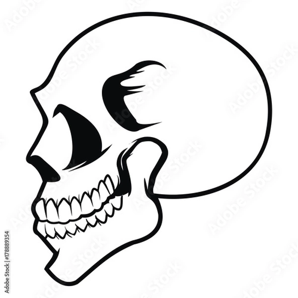 Obraz skull