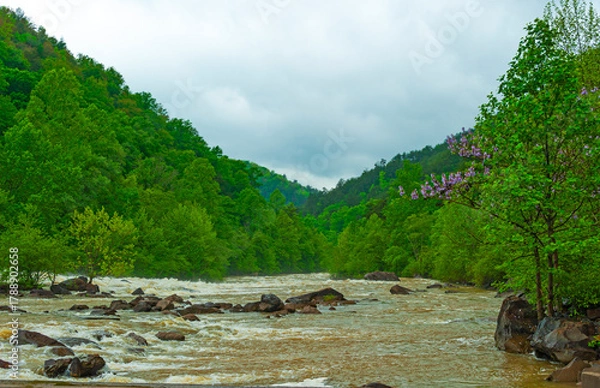 Fototapeta Ocoee River  flows through the southern Appalachian Mountains  and  is known for its  whitewater rapids, appealing to kayakers and rafting enthusiasts.