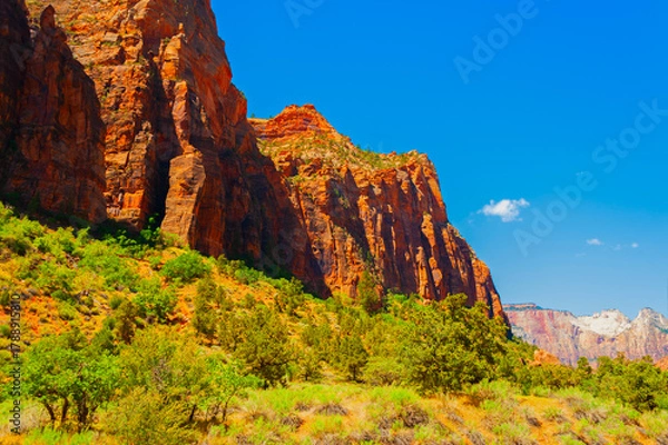 Obraz Zion National Park, located in Utah state, includes mountains, canyons, buttes, mesas, monoliths, rivers, slot canyons, and natural arches.