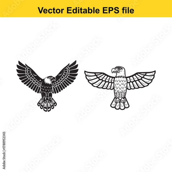 Obraz Two eagles in flight, one in profile and one facing forward