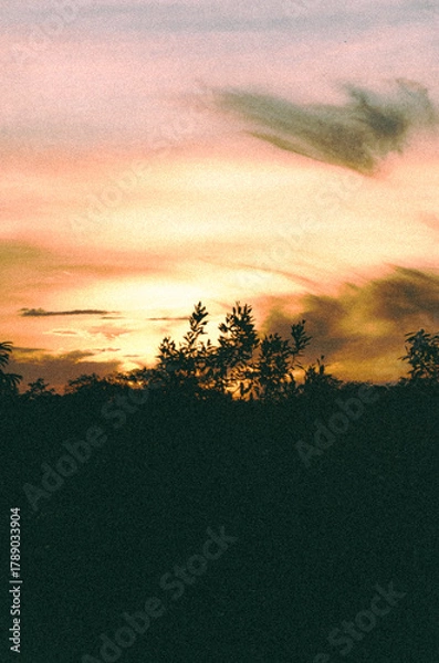 Obraz Amazon Rainforest Sky