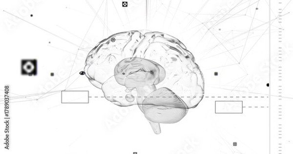 Obraz Showing translucent 3D brain rotating on white field, showing network nodes and dashed guideline