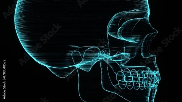 Obraz A holographic skull with a wireframe design. 
Perfect for futuristic, sci-fi, or dark-themed visuals.