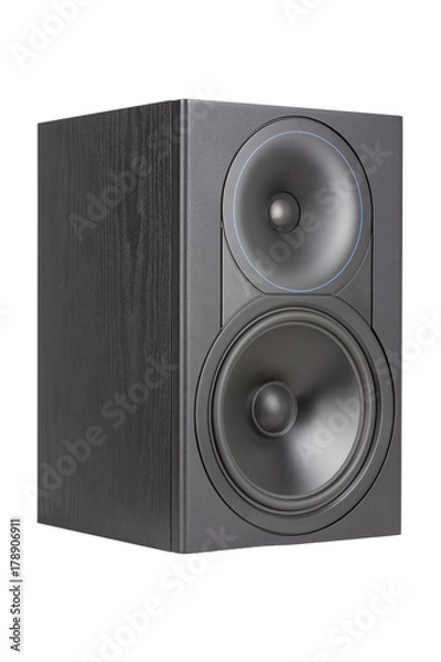 Obraz Professional Two way speaker seen from the side