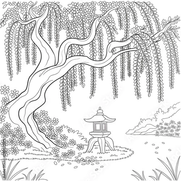Fototapeta Traditional Japanese Garden Scene with Willow Tree and Lantern Coloring Page