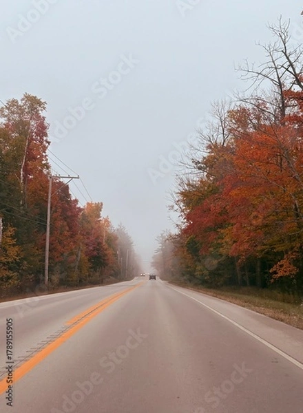 Fototapeta road in autumn forest