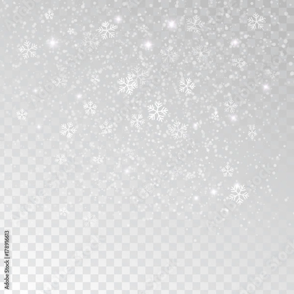 Fototapeta White tender snowflakes, snow falling over transparent background, vector illustration.
