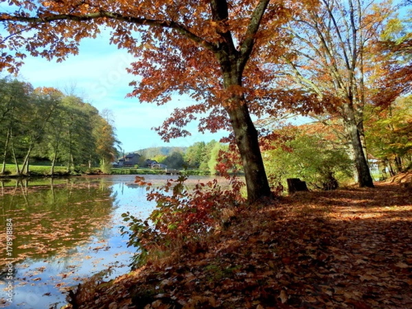 Obraz promenade autour du lac