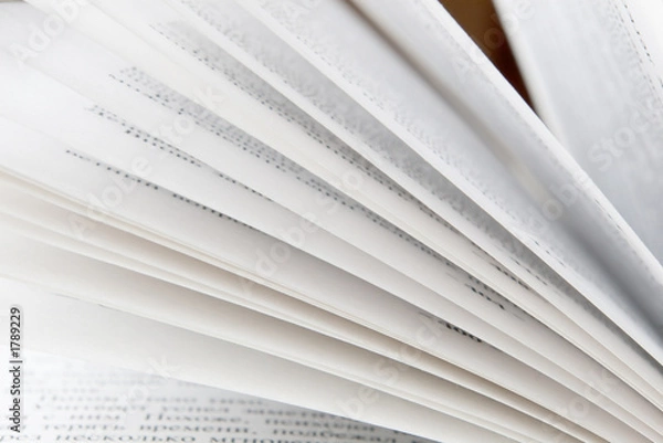 Obraz otwarte strony