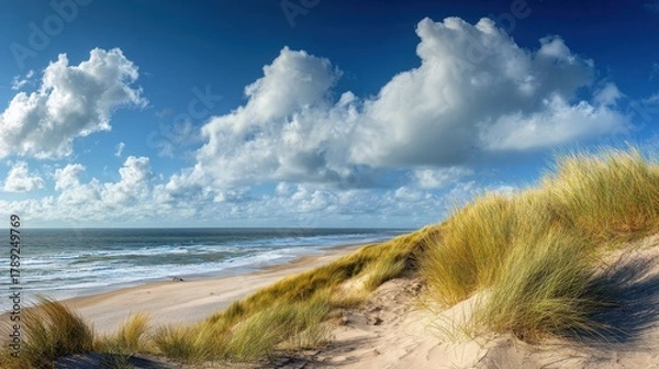 Fototapeta Beautiful photo of panoramic landscape background banner panorama of sand dune, beach and ocean North Sea with blue sky.