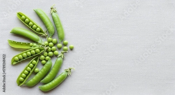 Obraz A top down view of several green pea pods and loose peas on a light gray textured surface area space