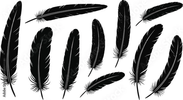 Obraz Silhouette Illustration of Various Black Feathers on White