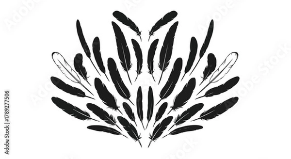 Obraz Arrangement of Black Feathers on White Background, Illustration