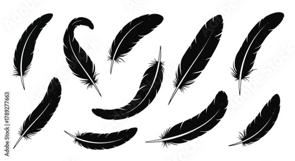 Fototapeta Collection of Various Elegant Feather Silhouettes on White