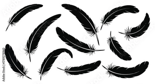 Obraz Elegant Silhouette Feather Collection on White Background
