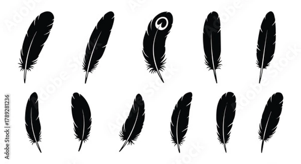 Obraz Feather Silhouette Set of Varied Feather Designs