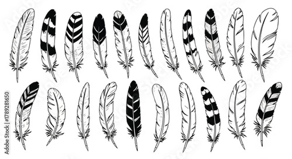 Obraz Feathers Monochrome Illustration Vector, Black and White Drawing