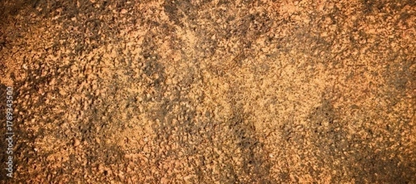 Obraz Close-up of rough, textured surface with a mix of brown and dark tones