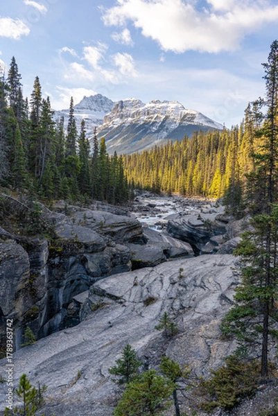 Obraz mountain river in the mountains