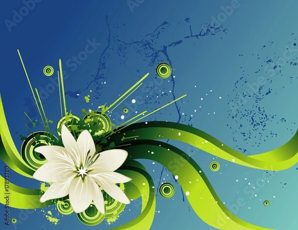 Obraz vector flower illustration