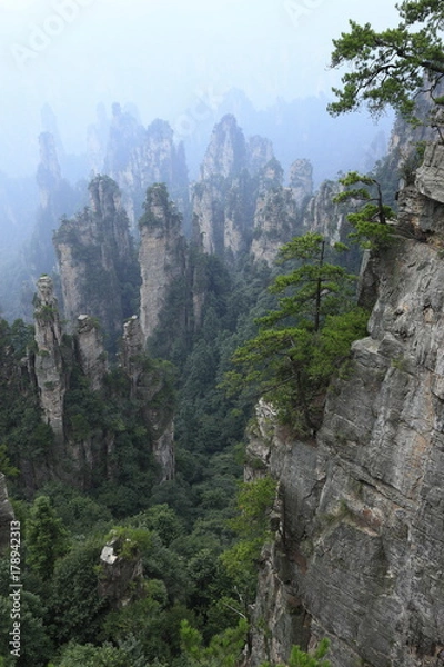 Fototapeta 武陵源の天子山自然保護区の石家檐