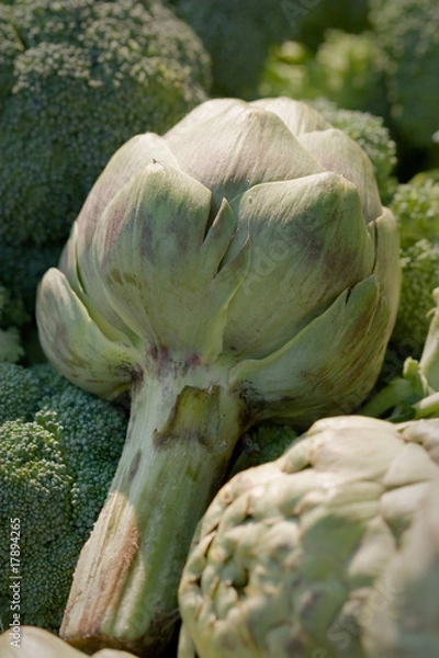 Obraz Artichokes at the farmers market