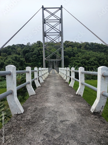 Obraz bridge over the river