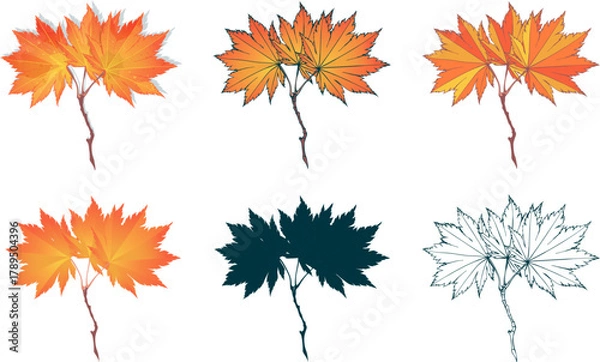 Fototapeta Set of hand-drawn fall colored red-yellow maple gold autumn leaves isolated on white background. Flat and line styles vector illustrations.