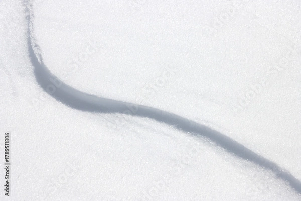 Obraz Wavy line in plain white snow background