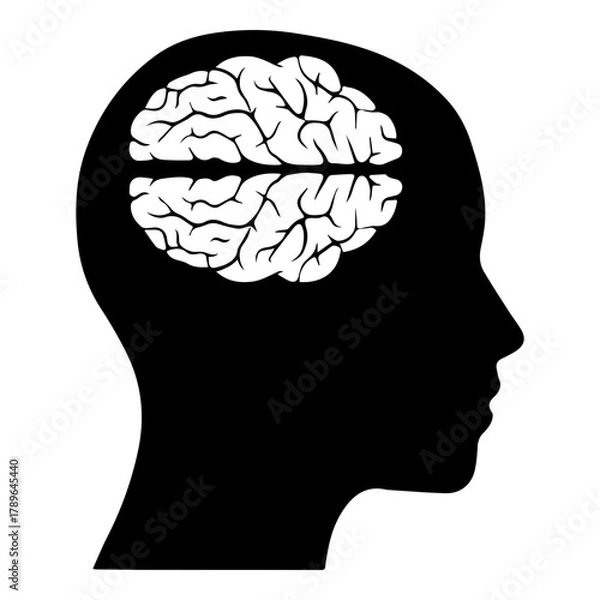 Fototapeta Silhouette Profile of Human Head with Visible Brain Anatomy Icon for Psychology and Intelligence