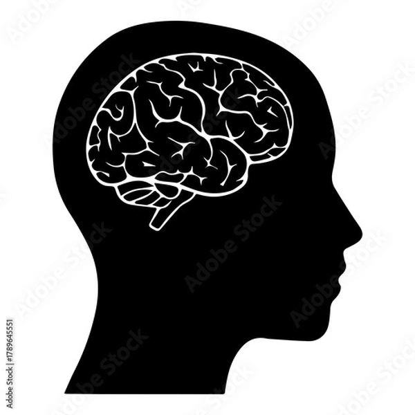 Fototapeta Silhouette of Human Head with Detailed Brain Outline for Psychology and Intelligence Concepts