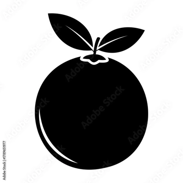 Fototapeta Vector illustration of a single black orange with two leaves on top against a transparent background