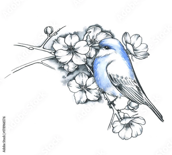 Fototapeta Hand drawn line art ink and watercolor blue bird with the flowers. Cherry branch, spring blossom. Blooming twig in graphic style 