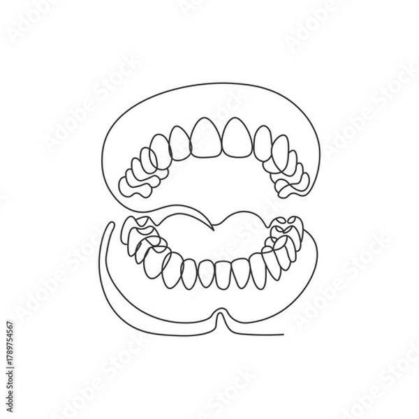 Fototapeta continuous line drawing of a Human Teeth