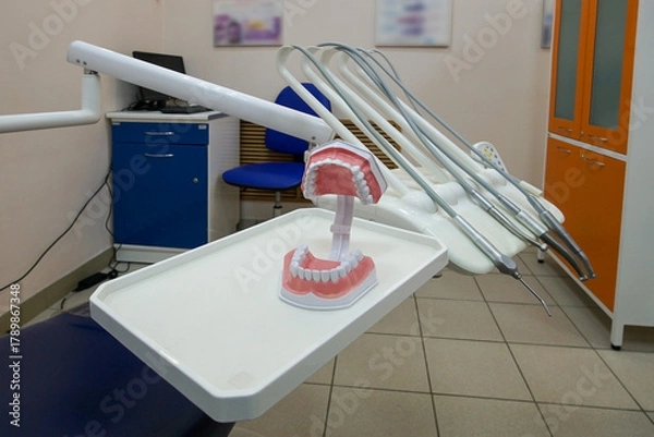 Obraz An anatomical model showing the upper and lower jaws with teeth against a background of dental instruments in a dental office.