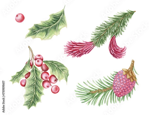 Fototapeta Set of holly and Norway spruce twig hand drawn in watercolor with sparkling pencil texture. Green leaves and pink berries create a festive botanical look. Perfect for Christmas card and other project.