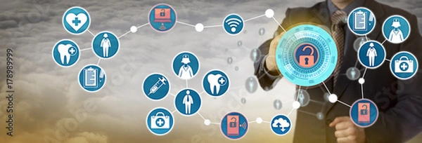 Obraz Administrator Accessing Patient Data Via Network