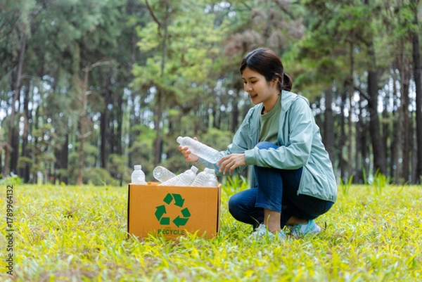 Fototapeta Young woman collects plastic bottles into recycling box in forest.