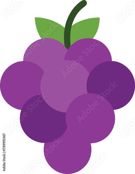 Fototapeta Purple Grapes Cluster Flat Design Vector Illustration Isolated on White Background