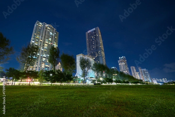 Fototapeta Penang city skyline glowing at gurney drive night