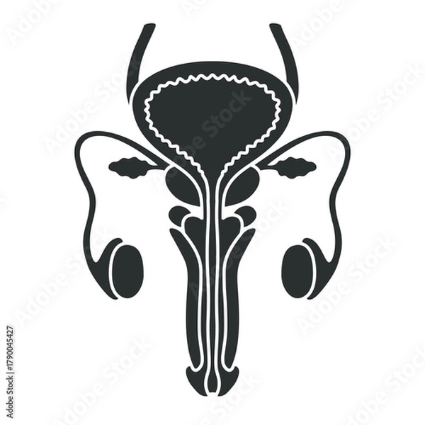Fototapeta male reproductive organ. logo flat design, bladder icon, simple hand drawn organ vector illustration, flat design element. Illustration design for, logo, symbol, icon, and emblem.	